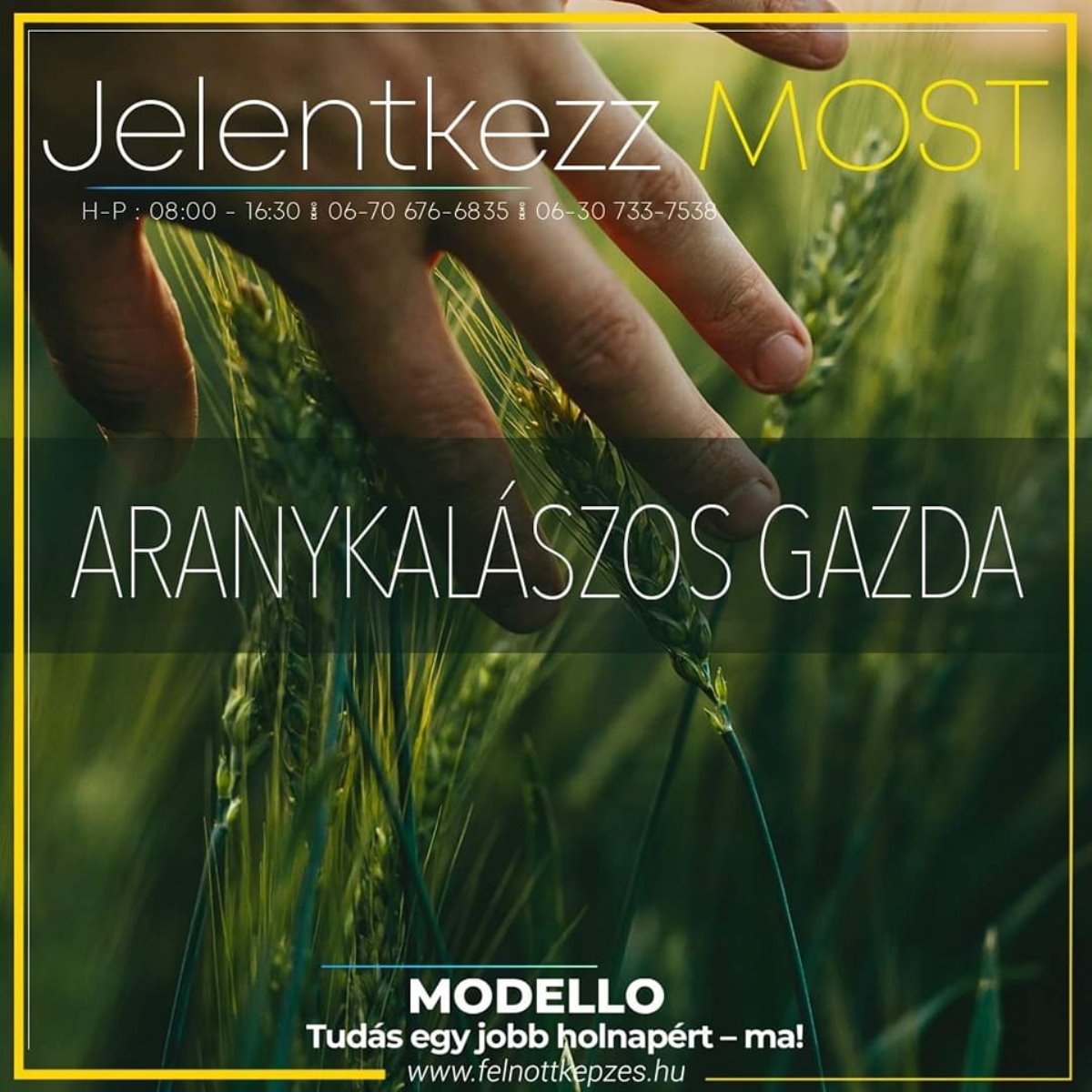 aranykalaszos-gazda-felnottkepzes.hu-tanfolyam-kepzes aranykalaszos-gazda-felnottkepzes.hu-tanfolyam-kepzes