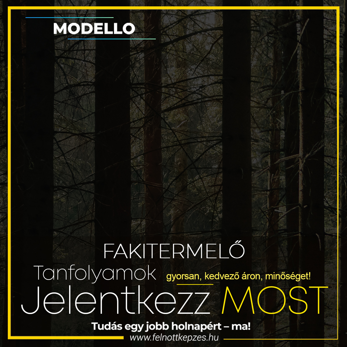 fakitermelo-felnottkepzes.hu-tanfolyam-kepzes fakitermelo-felnottkepzes.hu-tanfolyam-kepzes