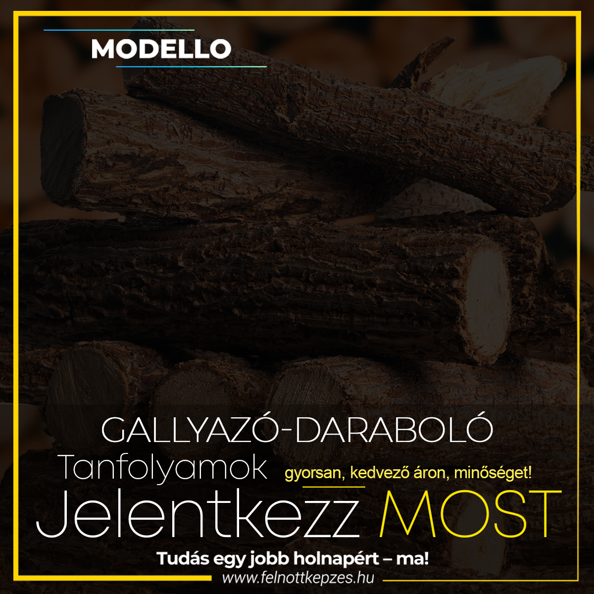 gallyazo-darabolo-felnottkepzes.hu-tanfolyam-kepzes gallyazo-darabolo-felnottkepzes.hu-tanfolyam-kepzes