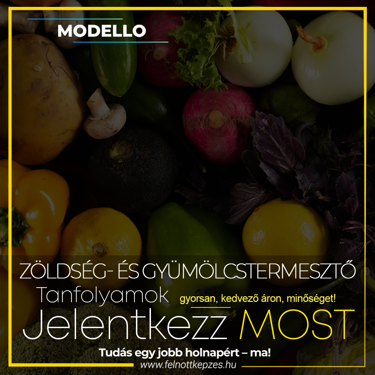 zoldseg-es-gyumolcstermeszto-felnottkepzes.hu-tanfolyam-kepzes zoldseg-es-gyumolcstermeszto-felnottkepzes.hu-tanfolyam-kepzes